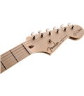 FENDER ARTIST ERIC CLAPTON STRATOCASTER OWT GITARA ELEKTRIČNA