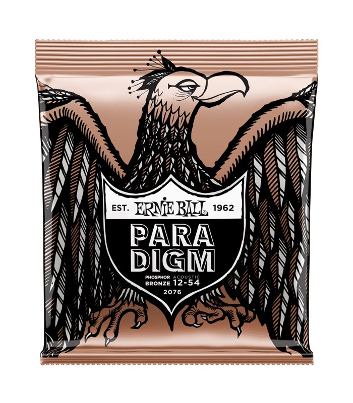 ERNIE BALL GITARA AKUSTIČNA PARADIGM 12-54 PB ŽICE
